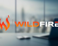 Wildfire — автоматизация любых действий в браузере Chrome