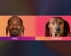 В приложении Gradient теперь можно узнать, на какое животное вы похожи