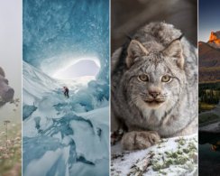 Объявлены победители фотоконкурса журнала Canadian Geographic: 15 кадров