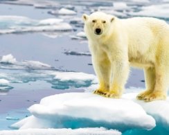 Глобальное потепление, возможно, уже превысило опасные 1,5°C