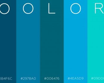 Coolors — самый простой способ выбрать идеальную цветовую палитру